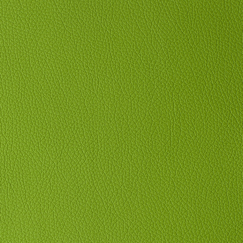 Arizona KN0079 zelená