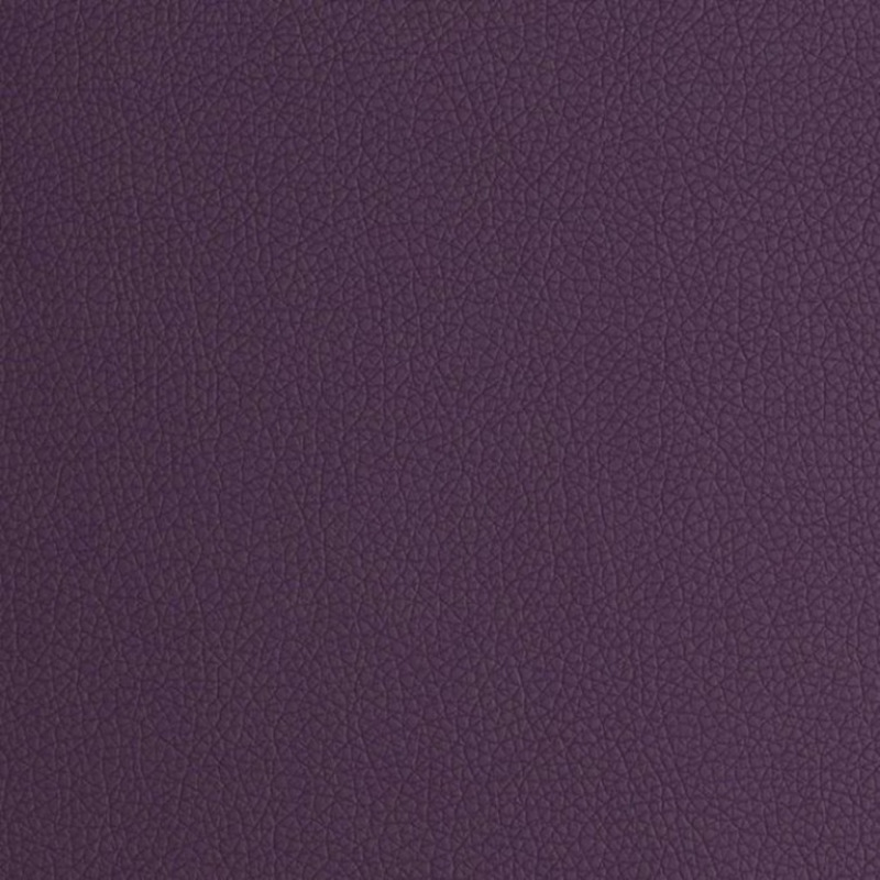 Arizona PURPLE