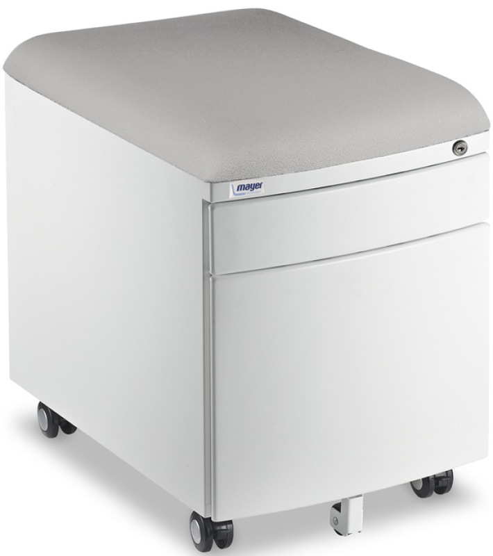 Profi 32W8 (v 52 x š 39 x hl 55 cm), kov biely + čalúnenie Šedý AquaClean