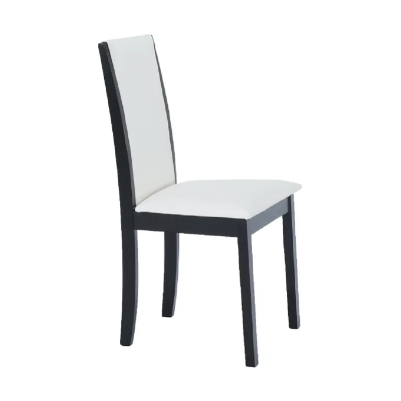 Židle, wenge/černá/ekokůže bílá, VENIS NEW 4