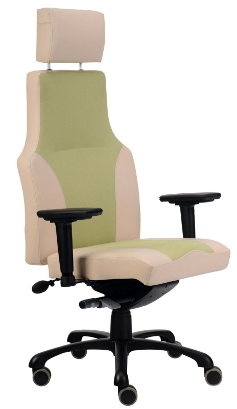 Záťažová stolička ERGO 24/7 a ERGO MIDI 24/7 čalúnenie KOŽENKA Valencia, Silvertex 6