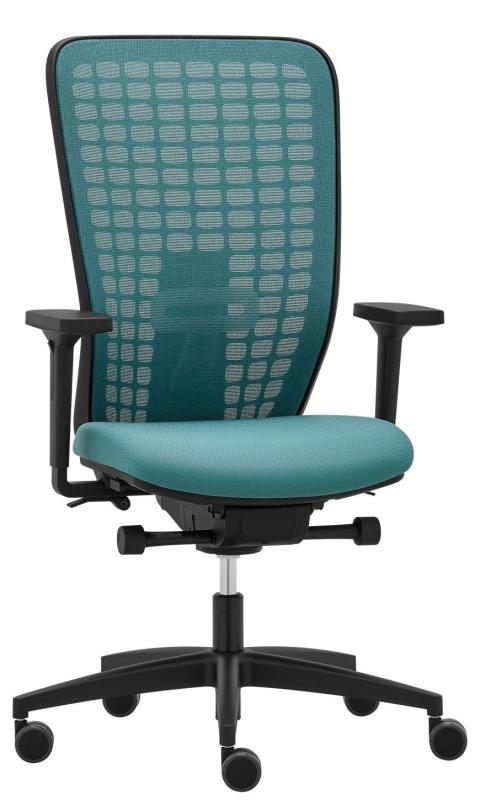 RIM Ergonomická kancelářská židle SPACE SP 1502 čalounění PRINCE kůže