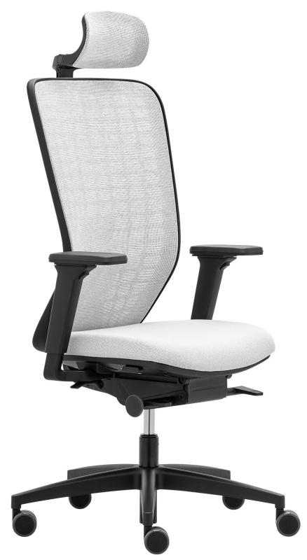 RIM Ergonomická kancelářská židle SPACE SP 1501 čalounění PRINCE kůže