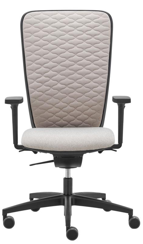 RIM Ergonomická kancelářská židle SPACE SP 1501 čalounění PRINCE kůže