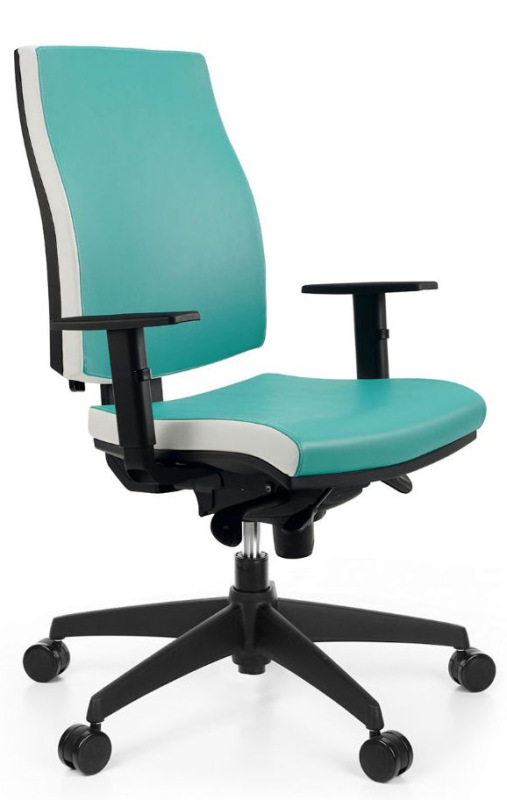 Kancelárska stolička JOB čalúnenie KOŽENKA Silvertex, Valencia 17