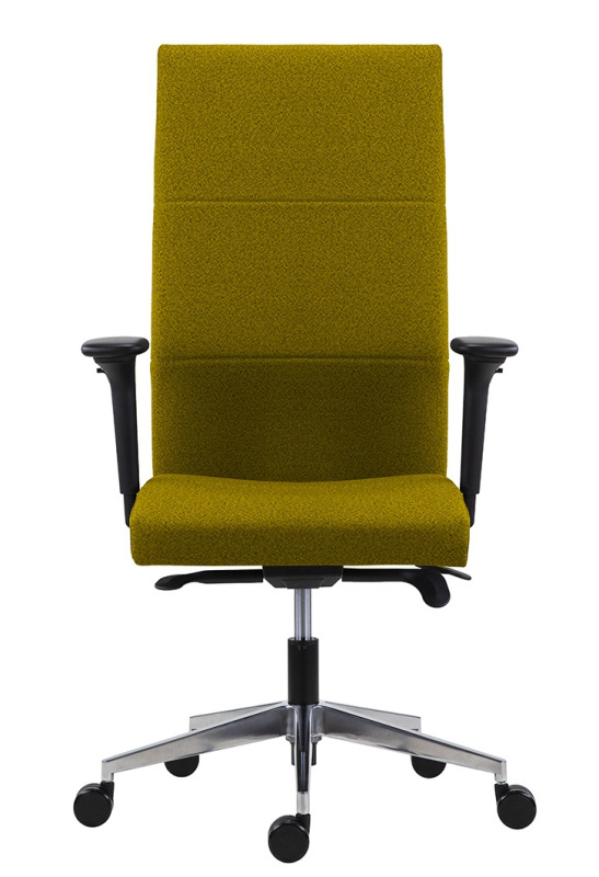 Kancelárske kreslo 8100 VERTIKA čalúnenie BLOOM MEDITAP koženka 9