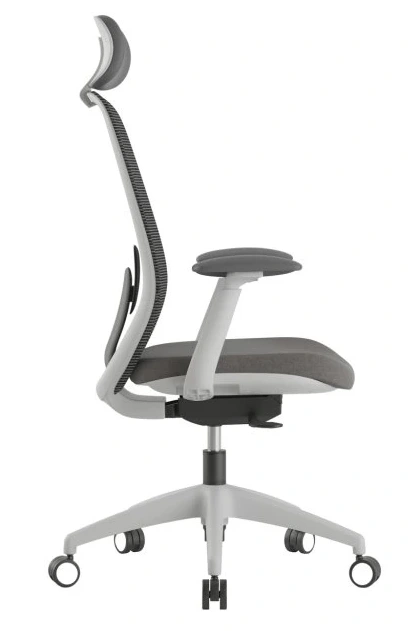 Kancelářská židle CAELI, šedá 1