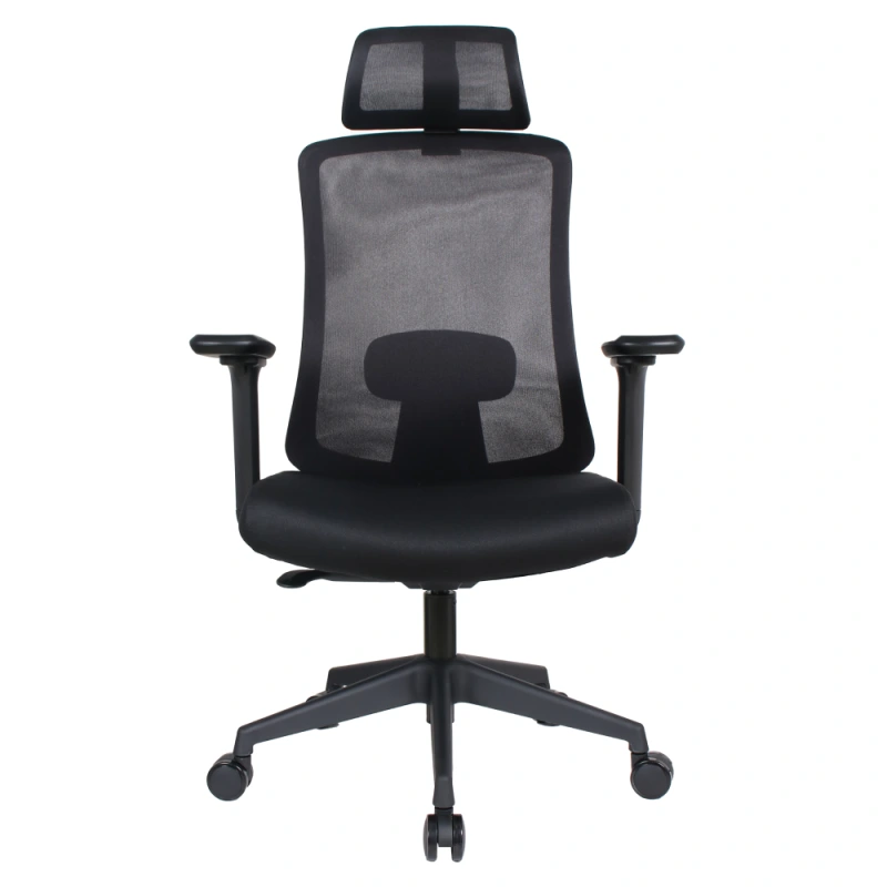 Kancelářské křeslo, černá, ROSANO 1